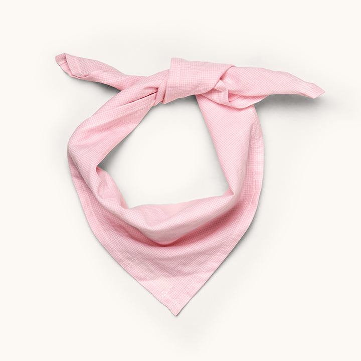 Eddie scarf bubblegum