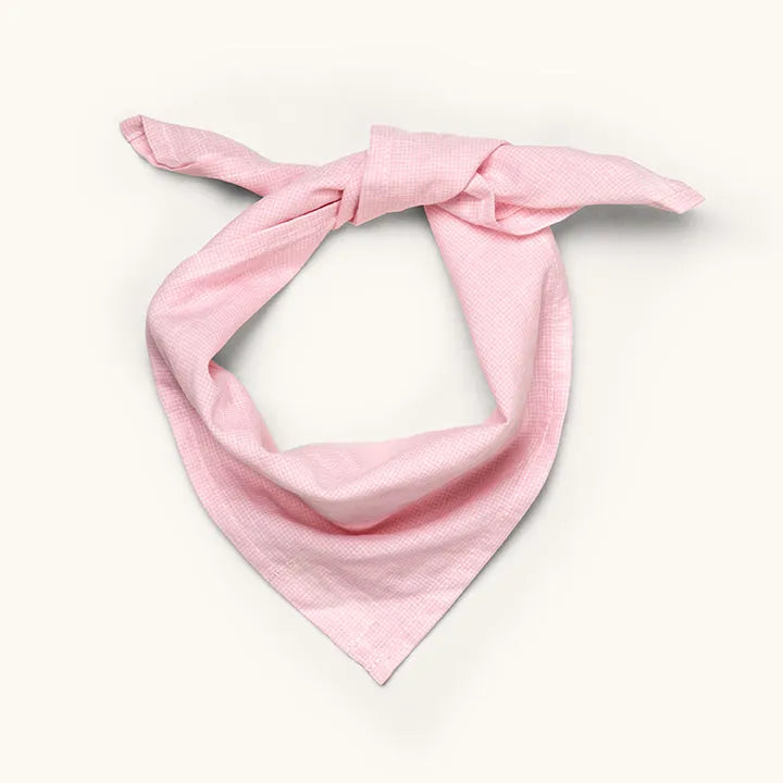 Eddie scarf bubblegum