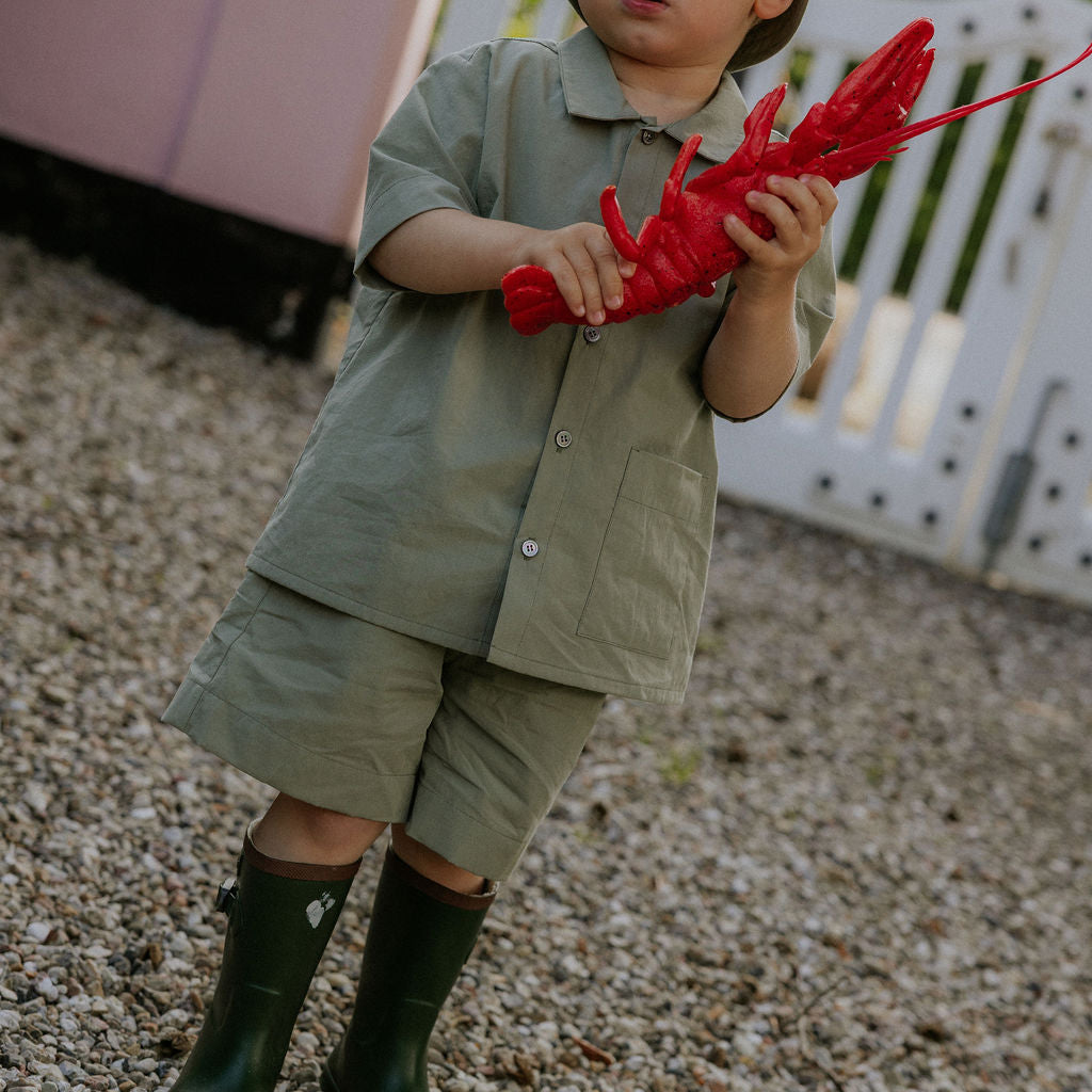 Wilder shorts turtle