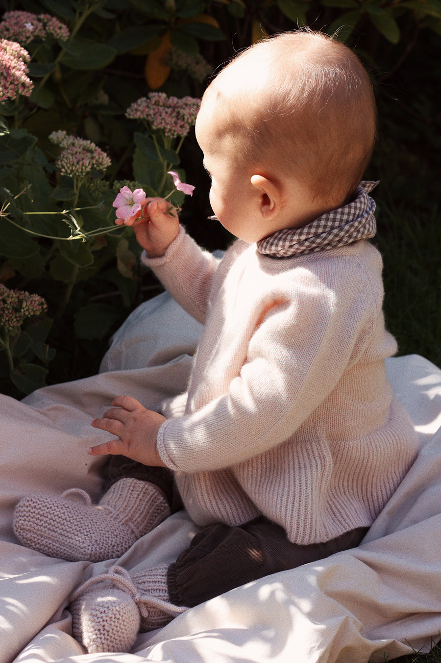 Ava trøje powder baby