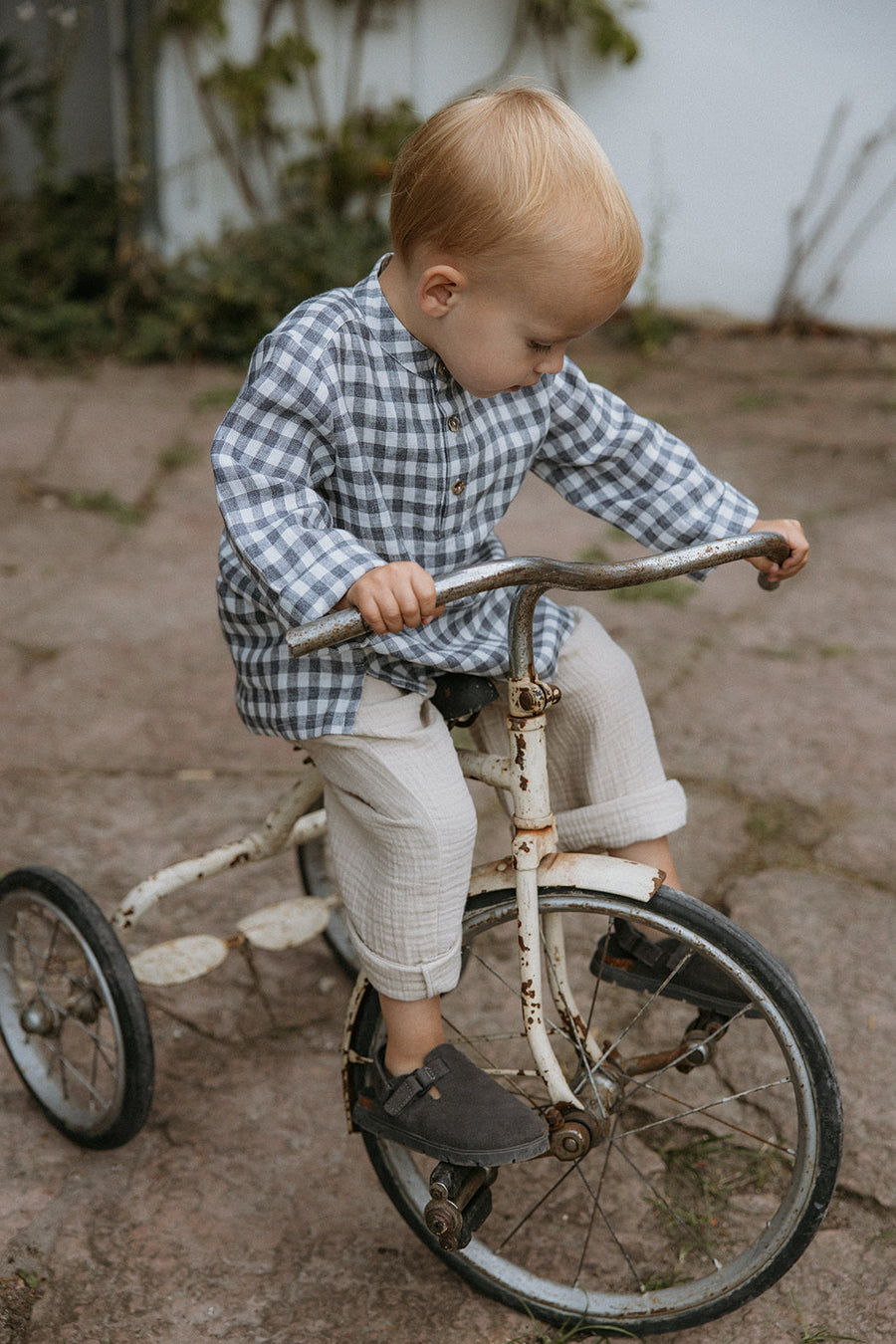 Carlo skjorte elephant check (kids)